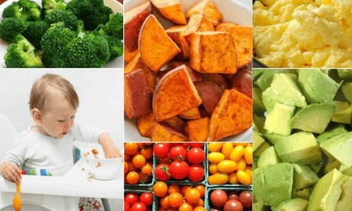 Your Weaning Adventure: Is It Time For Lumpy & Chunky Food? Finger Food